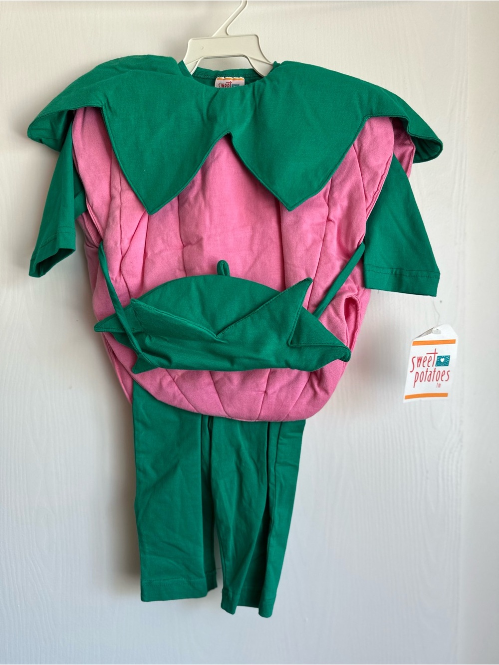 Pink & Green Strawberry Kids Costume